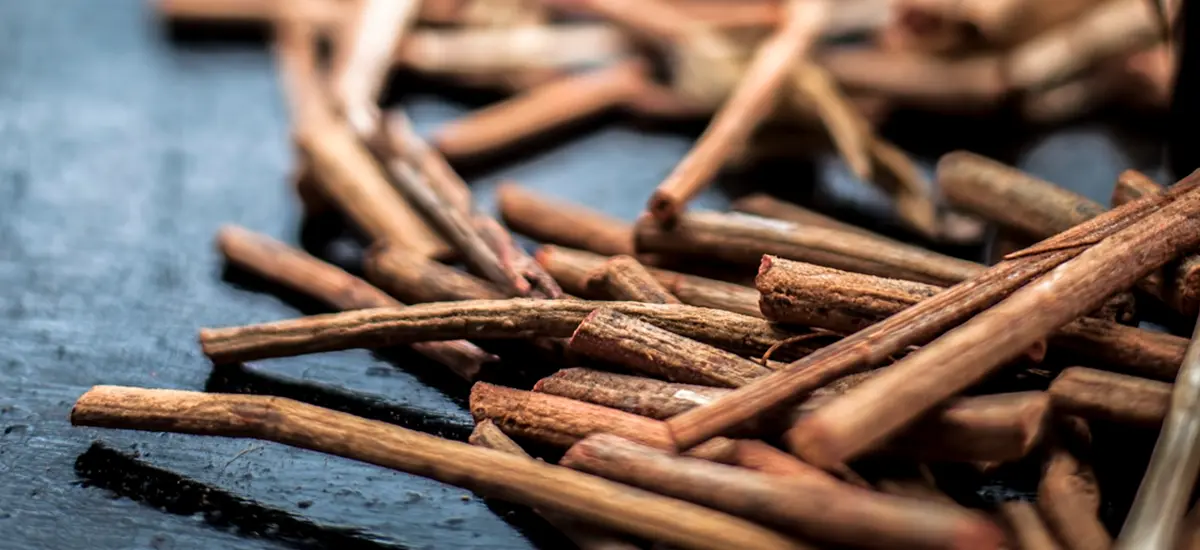 Raíces de Mañjiṣṭhā cortadas mostrando su color rojizo