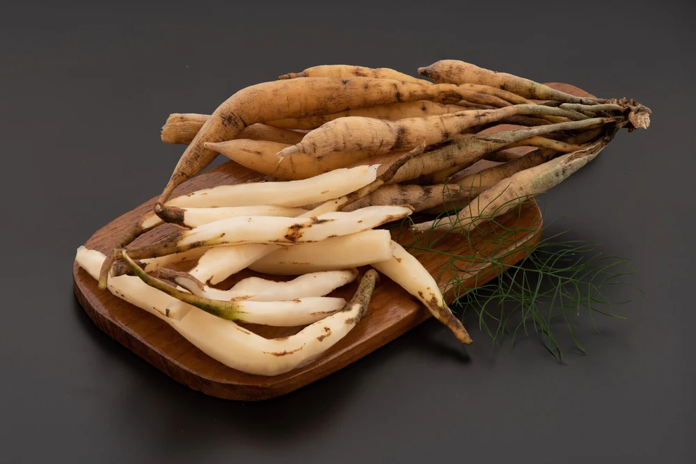 El Uso de Śatāvarī en la Tradición India